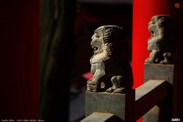 DSCF4030_