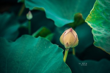 _WXW9553
