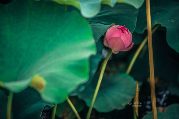 _WXW9599