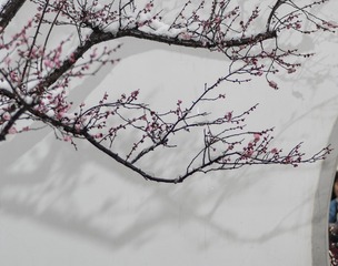 F8BEF6EA-B336-48D3-9407-DF171138F3E9/L0/001