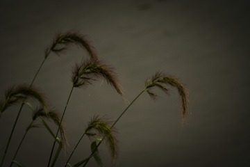 1375140