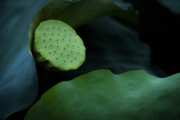 1375153