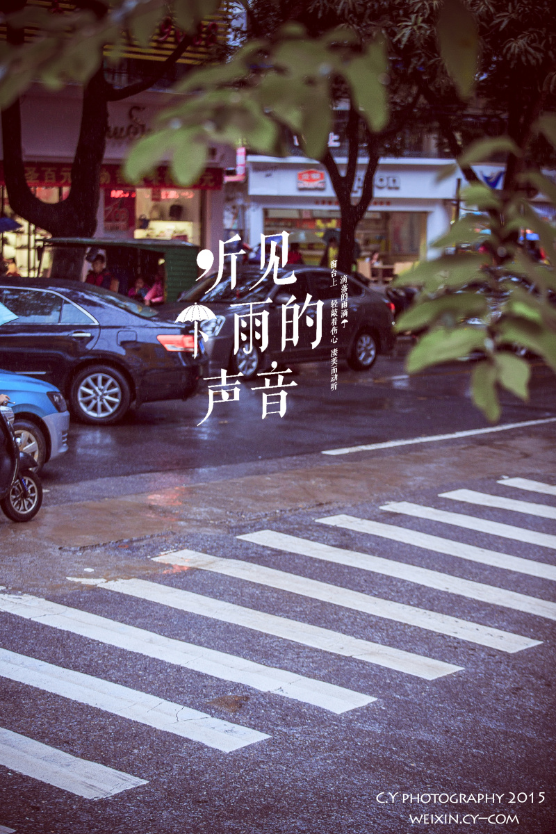 听见下雨的声音