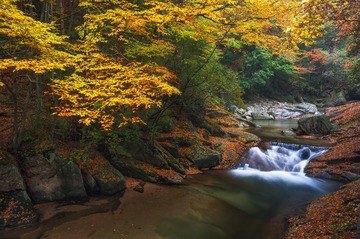 光雾山L1009414-171028