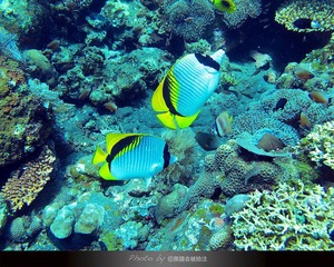 IMG_3533.jpg