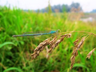 IMG_37831111.jpg