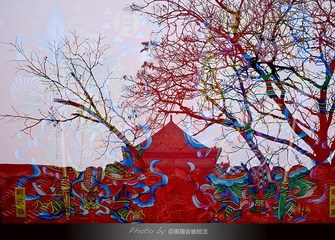 DSCF8001.jpg