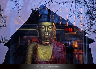 DSCF8005.jpg