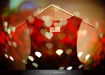 DSCF7931.jpg