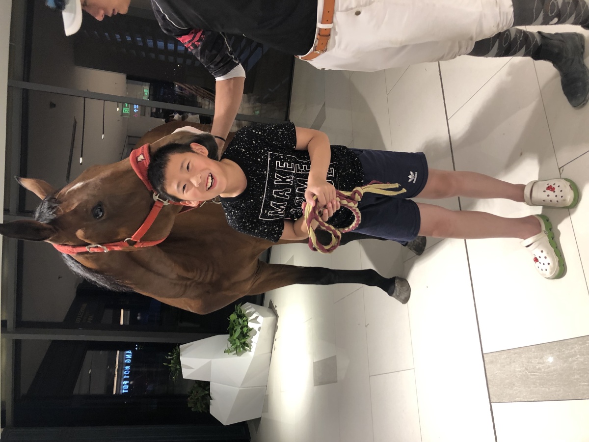路桥区青少年马术比赛