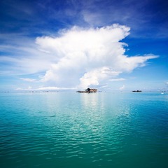 IMG_5133.jpg