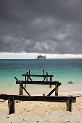 IMG_5435.jpg