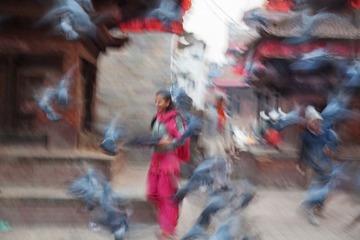 IMG_0981.jpg