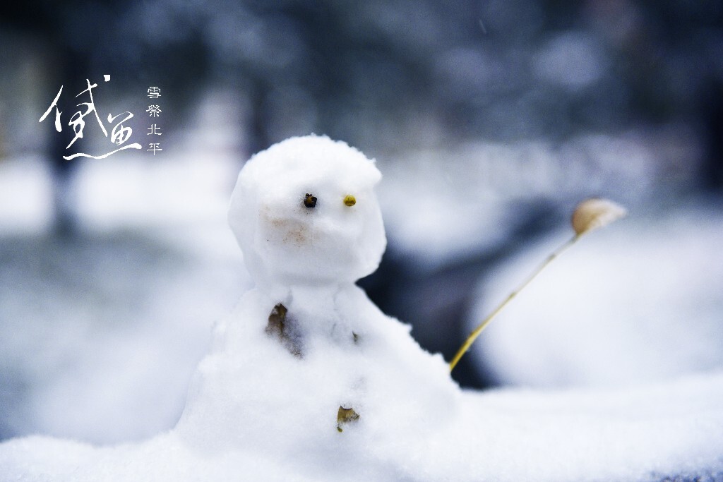 骑车路过工字厅时在一座古色古香的桥上看到了这个小雪人。它手执一杆枯枝，就像一个渔翁一样，不留神就不能发现。这不是今年的初雪，然而是最大的一场雪，纷纷扬扬，簌簌落落，美不胜收。愿每天都有如斯的好心情。