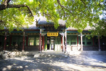 光阴似箭