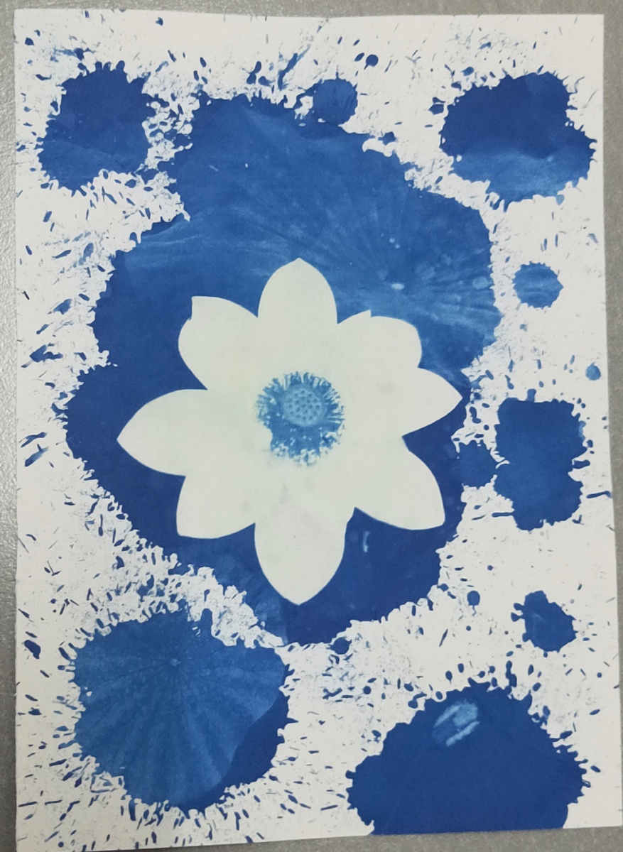 体验古老印象法蓝晒