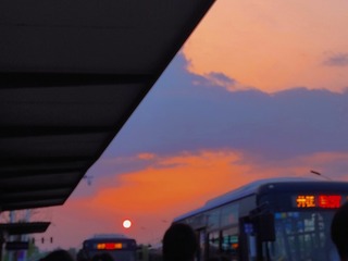 53779