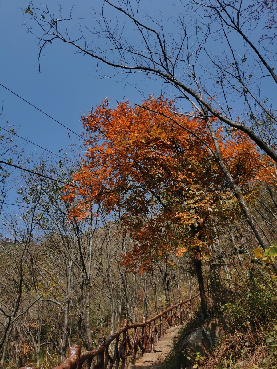 常德桃源县星德山 - 云端筑梦阿雷 - 图虫