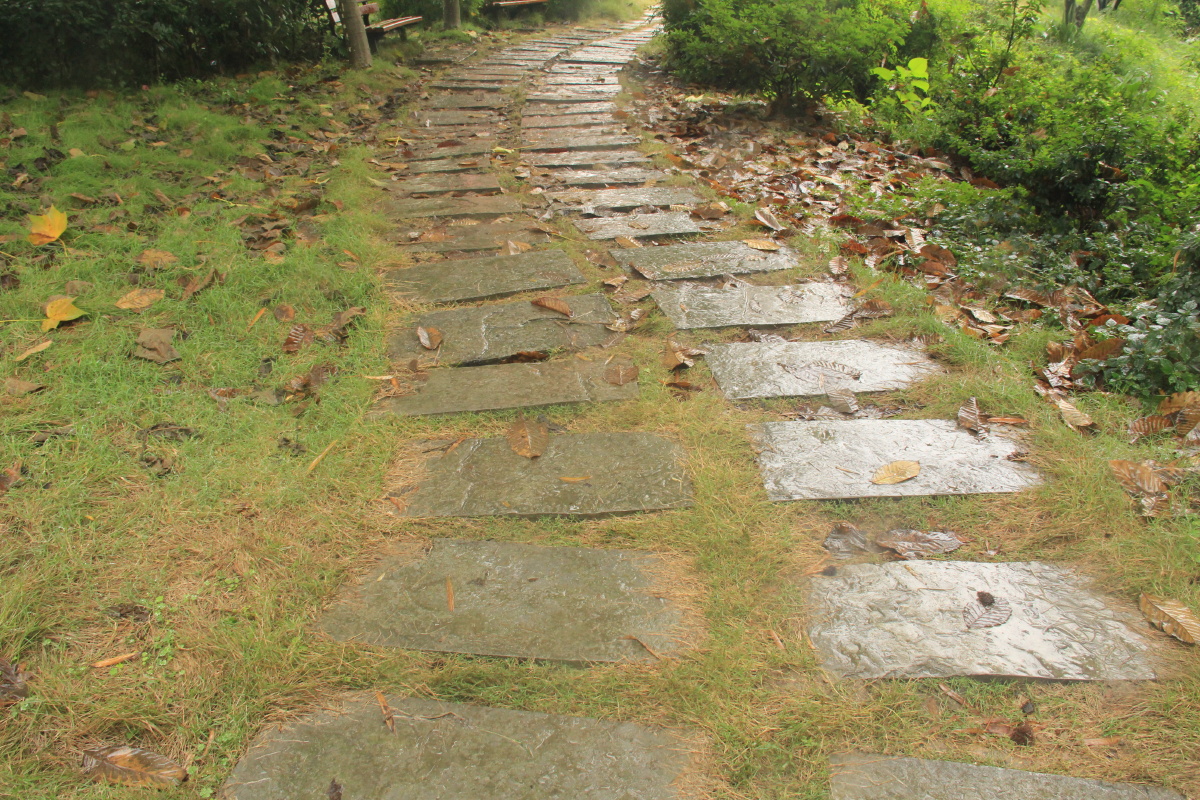 雨中别有一番风味