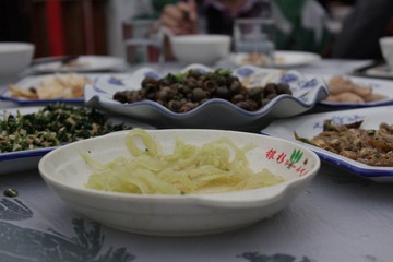DPP_0020.JPG