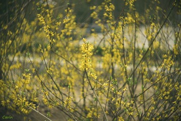 DSC05748_