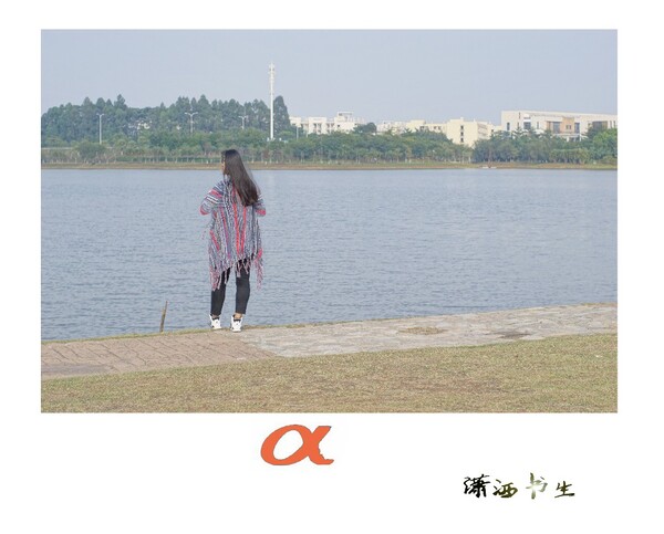 9913872.jpg
