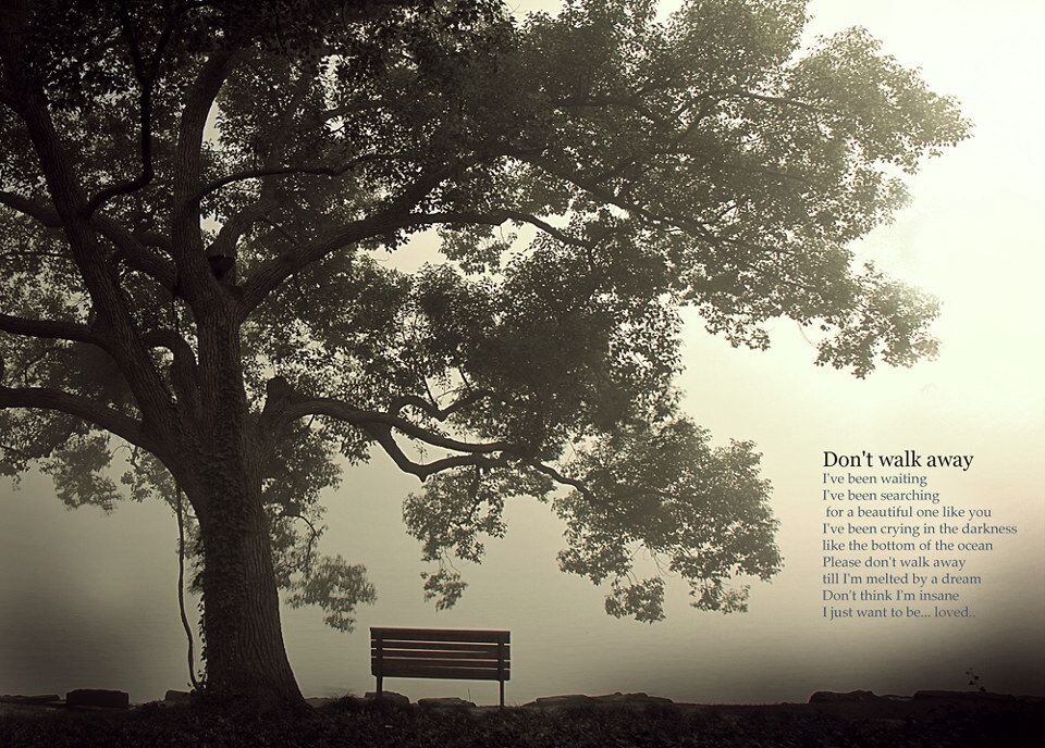 Don't walk away.....<br />
苏堤。2010.4