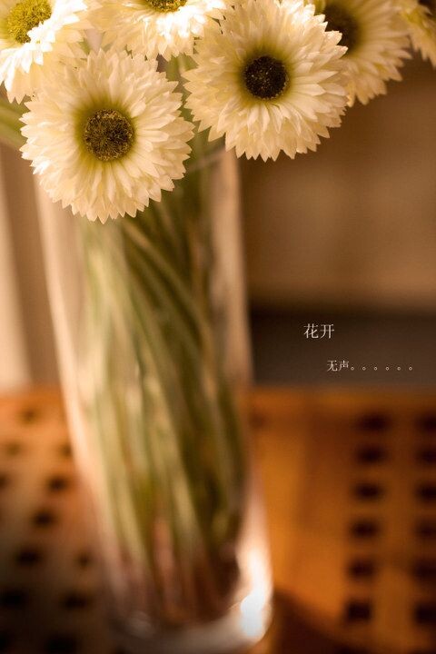 花开无声<br />
店。2010.5