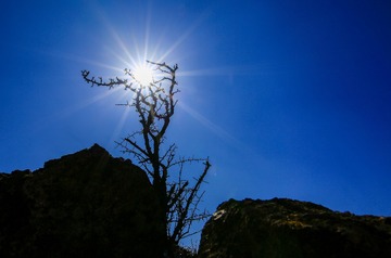 _38A9474as