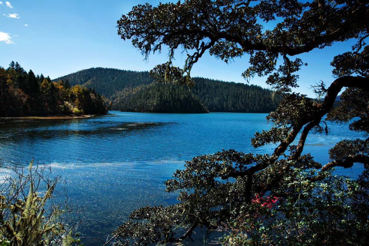 普达措国家公园碧塔海