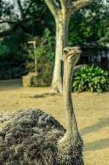 _DSC5544