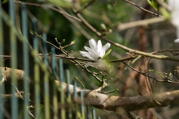 IMGP3417.jpg