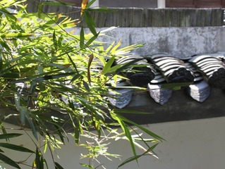 岳麓