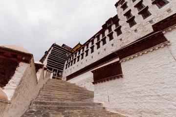IMG_3087.jpg