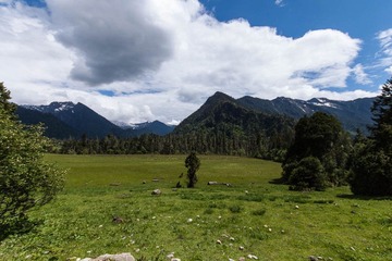 IMG_3699.jpg