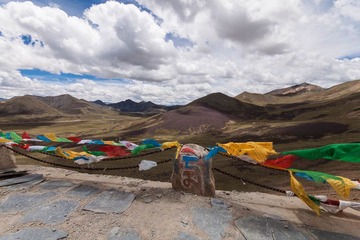 IMG_3918.jpg