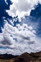 IMG_3922.jpg