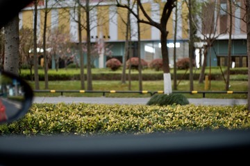 02E823DB-738D-4E52-BD4B-AE156CB36BA0/L0/001
