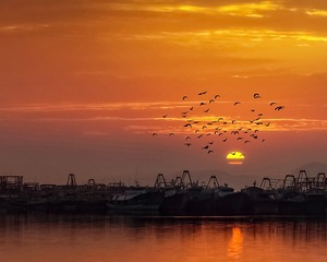 夕阳映渔港 (2)