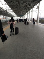376021