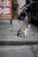 IMG_0646-1.jpg