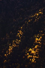 7D3F02C0-35D9-40BA-9A61-1E7A42B0368E/L0/001