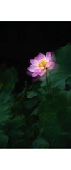 1660B07E-495C-4E12-A73C-957EB00AE13C/L0/001