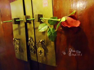 DSC03504_副本.jpg