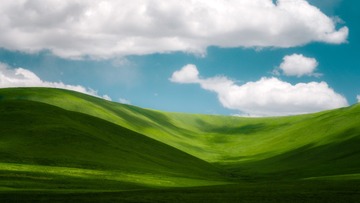 08852126-C84B-4E51-AF2E-5CD1046720F7/L0/001