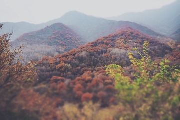 3A1B37DF-5270-4FA9-817A-C74F0244F039/L0/001