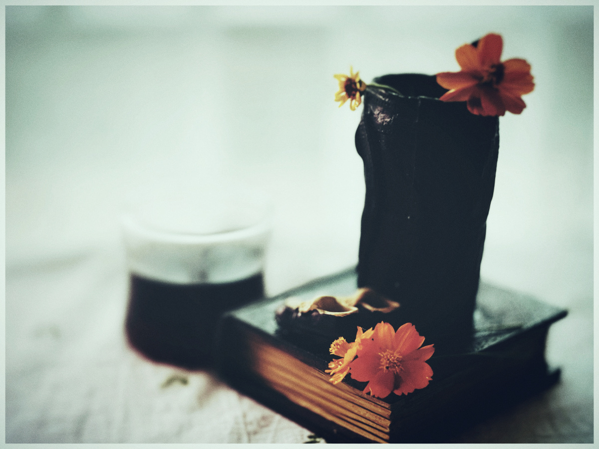 最好的生活状态一个人时安静而丰盛两个人时温暖而