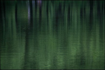 34439281-2D1C-498B-A192-4F0EDF1B392A/L0/001