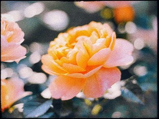 2A6B8A82-7D21-40A6-80BF-BAF07C827DA0/L0/001