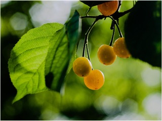F5369308-F559-4A47-96F8-899097E7C122/L0/001